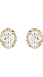 14K Yellow 1/2 CTW Natural Diamond Halo-Style Earrings