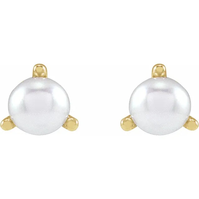 14K Yellow 2.5 mm Cultured White Seed Pearl Earrings