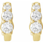 14K Yellow 1/3 CTW Natural Diamond Hoop Earrings