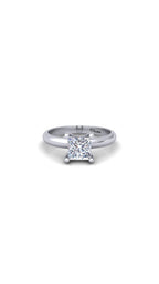 Engagement 366