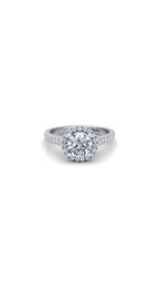 Engagement 336